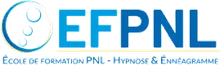 Institut EFPNL